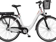 Telefunken E-Bike Cityrad Multitalent RC657, 7 Gang Shimano Nexus Schaltwerk, Nabenschaltung, Frontmotor, 536,5 Wh, Pedelec, Elektrofahrrad für Damen u. Herren