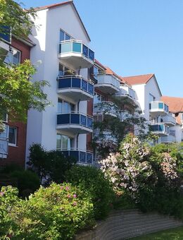 1-Raum Wohnung mit Balkon - Stralsund