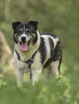 Golden Girl-entspannt und aufgeschlossen - Eixen