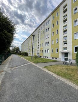 WPS9: Schöne 4- Raum Erdgeschosswohnung in Oschatzer Eigentumsanlage... - Oschatz