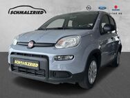 Fiat Panda, 1.0 Base Mild Hybrid teilb Rücksb, Jahr 2023 - Bremerhaven