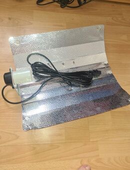 Energiesparlampe Pflanzenlampe 125Watt 4000K - Leipzig Nordwest