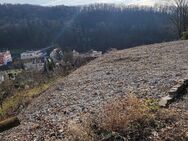 Traumgrundstück für EFH sofort bebaubar - in bevorzugter Hanglage in Lörrach am Hünerberg - Lörrach