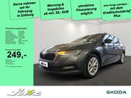 Skoda Octavia, 1.5 TSI Combi Ambition, Jahr 2020 - Immenstadt (Allgäu)