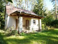 Wald, Erholung und Potential - Ihr Häuschen in Wensickendorf - Oranienburg