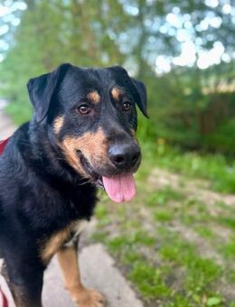 OSKAR - wir werden unsere Zeit genießen - Overath