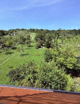 Traumhaus am Weinberg in Feuerbach - kernsaniert & bezugsfertig - Stuttgart