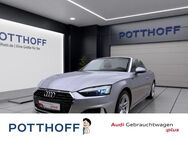 Audi A5, Cabriolet 35 TDI advanced, Jahr 2024 - Hamm