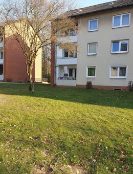 3-Zimmerwohnung mit EBK in Nienburg-Langendamm (Weser) Dachsweg ab 01.11.2025 - Nienburg (Weser)