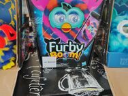 Furby boom - Ingersheim