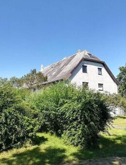 Ruhe + Entspannung auf der grünen Insel - Nordstrand