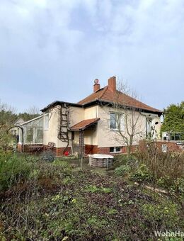 Großes Grundstück - teilbar - mit kleinem Haus in Adlershof - Berlin