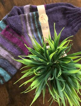 1 Paar Socken oder 1 Mütze handgestrickt - Pappenheim