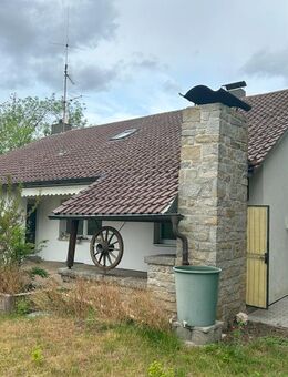 Neu saniertes EFH direkt in Amberg zu vermieten - Amberg