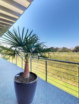 Neuwertiges Wohnhaus mit Pension und Wasserblick am Oder-Neiße-Radweg - Letschin
