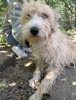 Pite - will endlich ankommen! - Köln