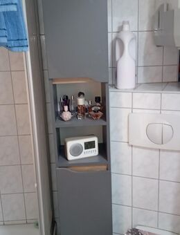 Badezimmer Hochschrank - Berlin Pankow