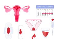 MENSTRUATION/ PERIODEN ARTIKEL GESUCHT !! - Herford (Hansestadt)