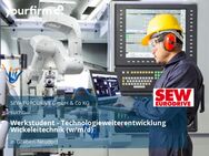 Werkstudent - Technologieweiterentwicklung Wickeleitechnik (w/m/d) - Graben-Neudorf