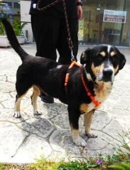 LUFY - Ratingen