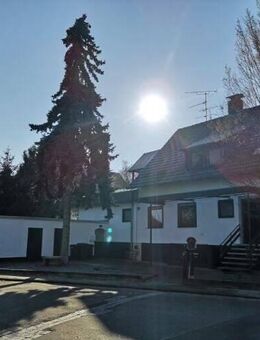 Ihr neues Zuhause - 2 Zimmer in der 1 Etage und mit großer Dachterrasse! - Beindersheim