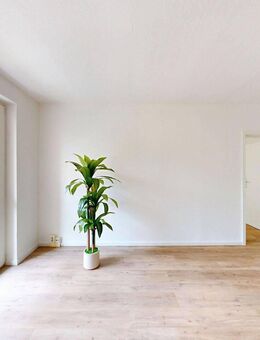 NEUE Wohnungen 60-80 qm mit LIFT-Zugang barrierefrei/EBK/Balkon/Loggia/Bad neu ERSTBEZUG Vollsan. - Drebach