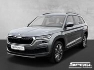 Skoda Kodiaq, 2.0 l TDI Tour, Jahr 2023 - Chamerau