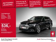 Audi Q8, advanced 50 quattro, Jahr 2023 - Stuttgart