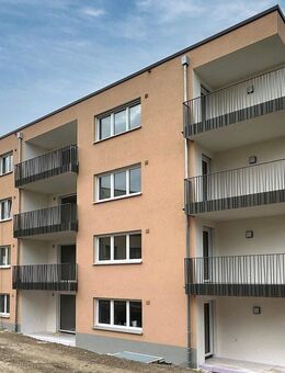 Neubaumietwohnungen in TOP-Lage von Horb-Hohenberg / Erstbezug! - Horb (Neckar)