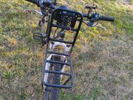 Bulls Fahrrad - Worms