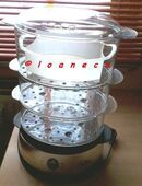 Tefal Steamer Aqua Timer Dampfgarer Dampfgarautomat Automat Kocher Kochtopf Dampf Garer Fleisch Fisch Reis Gemüse in 38440