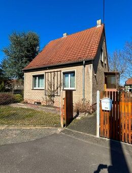 Frühlingsliebe nahe der Dahlener Heide. - Dahlen