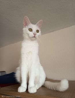 ❤️Livia❤️ - Jüterbog