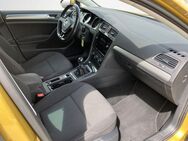 VW Golf, 1.6 TDI Trendline, Jahr 2017 - Freudenstadt