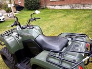 Arctic Cat 400 4x4 Quad, ATV, LOF, Schneeschild - Eisenach