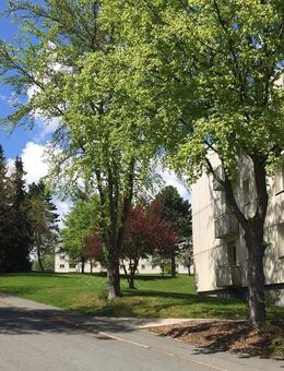 +++ Möbliertes 2 Zimmer Apartment im schönen Bad Steben +++ - Bad Steben