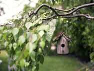 Im grünen Leben mit riesigem Garten! - Reinbek