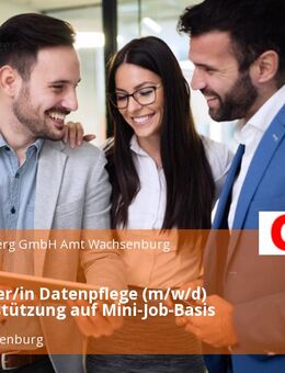 Mitarbeiter/in Datenpflege (m/w/d) als Unterstützung auf Mini-Job-Basis - Amt Wachsenburg