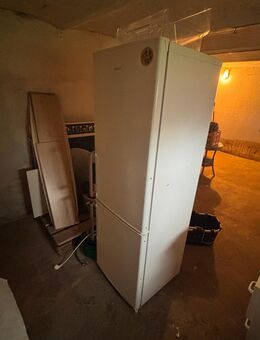 Kühlschrank Kühl- und Gefrierkombination von Amica in weiß - Bremerhaven