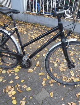 (24) Gang 28 Zoll STEVENS Rh 50 mit langer Sattelstangr - Mainz
