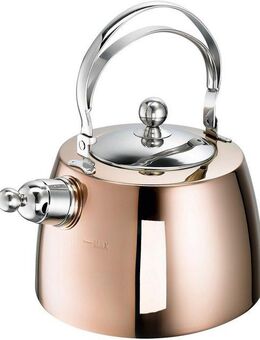 SCHULTE-UFER Wasserkessel Zora, Edelstahl (1-tlg), 2 Liter, Induktion