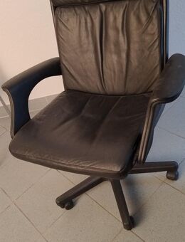 Drehsessel aus Leder - Berlin