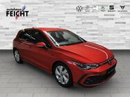 VW Golf, 2.0 TSI VIII GTI HARMAN&KARDON, Jahr 2022 - Haar