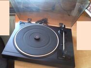 SONY PS-LX 100 Plattenspieler Platten Spieler Turntable - Wolfsburg