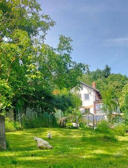 Unsere kleine Oase ... - Bad Griesbach (Rottal)