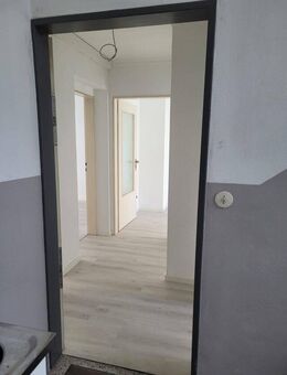 Gemütliche 2 Zimmer-Küche-Bad-Wohnung in den Mannheimer Quadraten - Mannheim