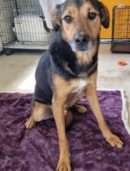 NANDO ❤ EILIG! - Langenhagen