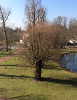 Demnächst frei! 2-Zimmer-Wohnung in Mönchengladbach Odenkirchen - Mönchengladbach