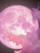 Energetische Transformierende Super Mond Behandlung in 34414