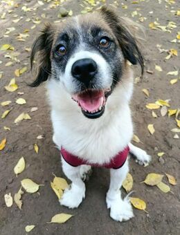 Betti -Kämpferin sucht ihr Wunder - Berlin